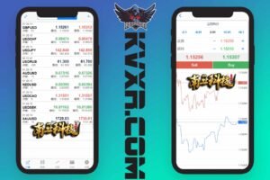 外汇MT5破解版CRM交易所源码/八国语言/可风控涨跌/团队推广/带落地官网页