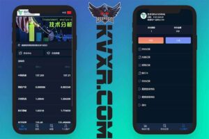国药集团投资微交易源码 | 微盘时间盘系统