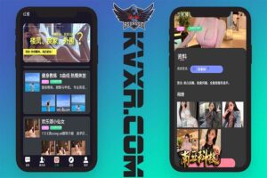 im即时通讯红楼源码 | 空降约炮选妃