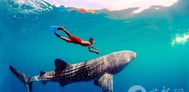 菲律宾的机场竟然与香港机场一样获得了同等认证_真是令人惊叹啊 菲律宾的机场竟然与香港机场一样获得了同等认证_真是令人惊叹啊