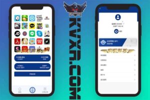 海外多语言APP软件游戏抢单源码 | 连单卡单