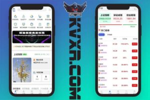 IBKR股票源码 | 股票市场