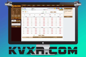 WS新版系统源码 | WS信用盘租用