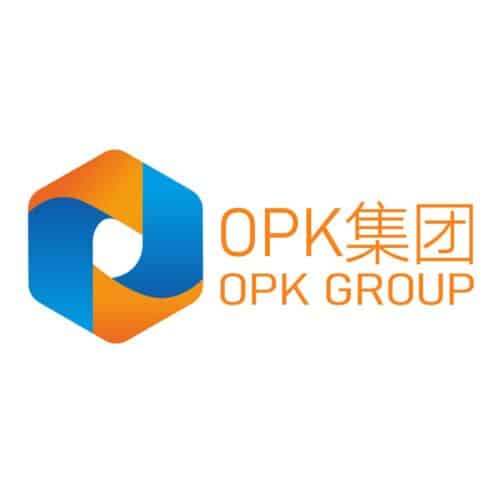 OPK集团包网服务30分钟快速建站