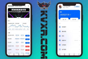 黄金外汇FX6源码 | FX6交易所