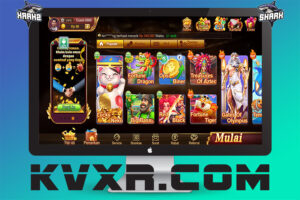 OKWIN印度棋牌源码 | 印尼游戏搭建
