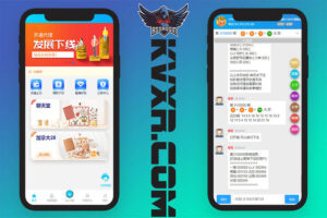 Java区块链应用系统旧版旗舰28二开源码 | 加拿大28