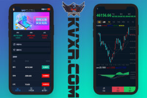 最新多语言微交易系统源码 | 微盘外汇源码