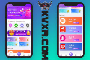 淘宝京东拼多多唯品会商城自动抢单系统源码抢单接单返利封装APP