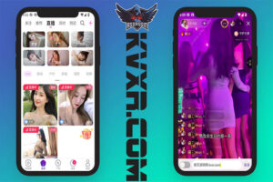 源码交易与定制开发服务平台 49 2025国际化版本Java直播带货短视频聊天室源码APP语音房派对多语言购物语聊房APP