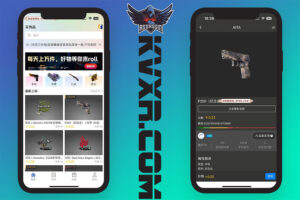 CSGO饰品交易平台源码 | steam饰品APP上架出售购买