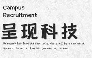 呈现软件科技：专注于软件开发、网站建设等领域